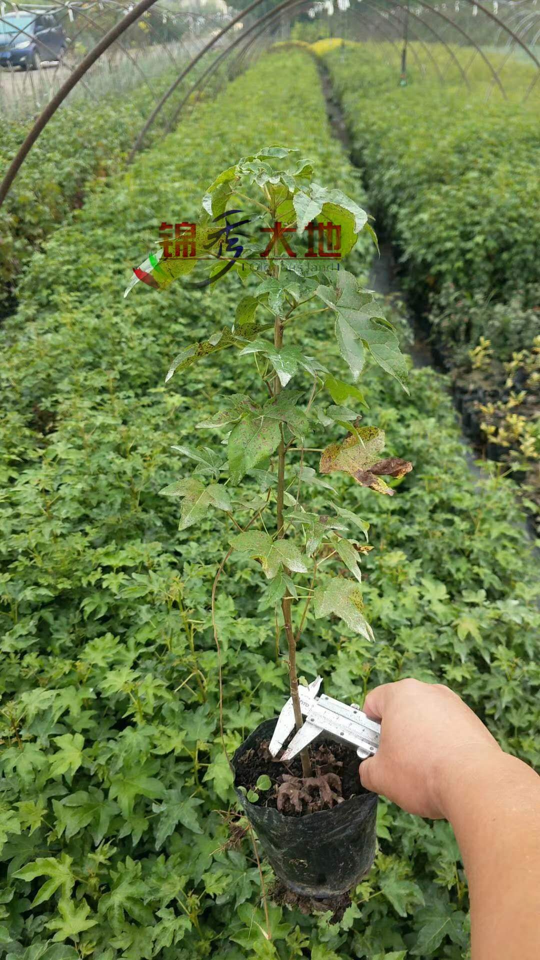 微信图片_202009280936032.jpg