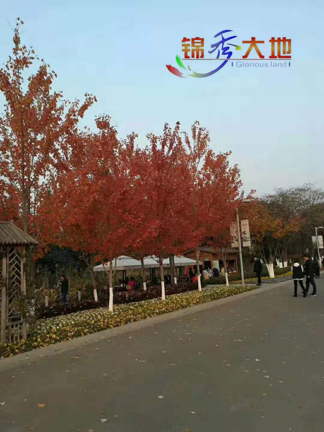 微信图片_202001171055534.jpg