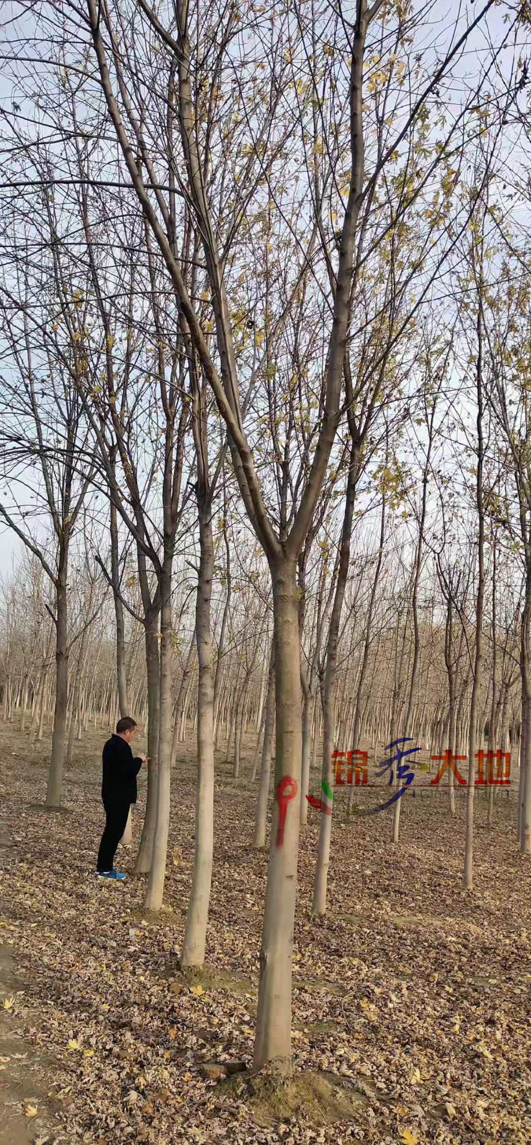 微信图片_202001220941468.jpg