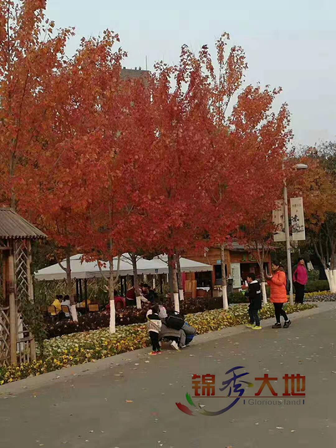 微信图片_202001171057041.jpg