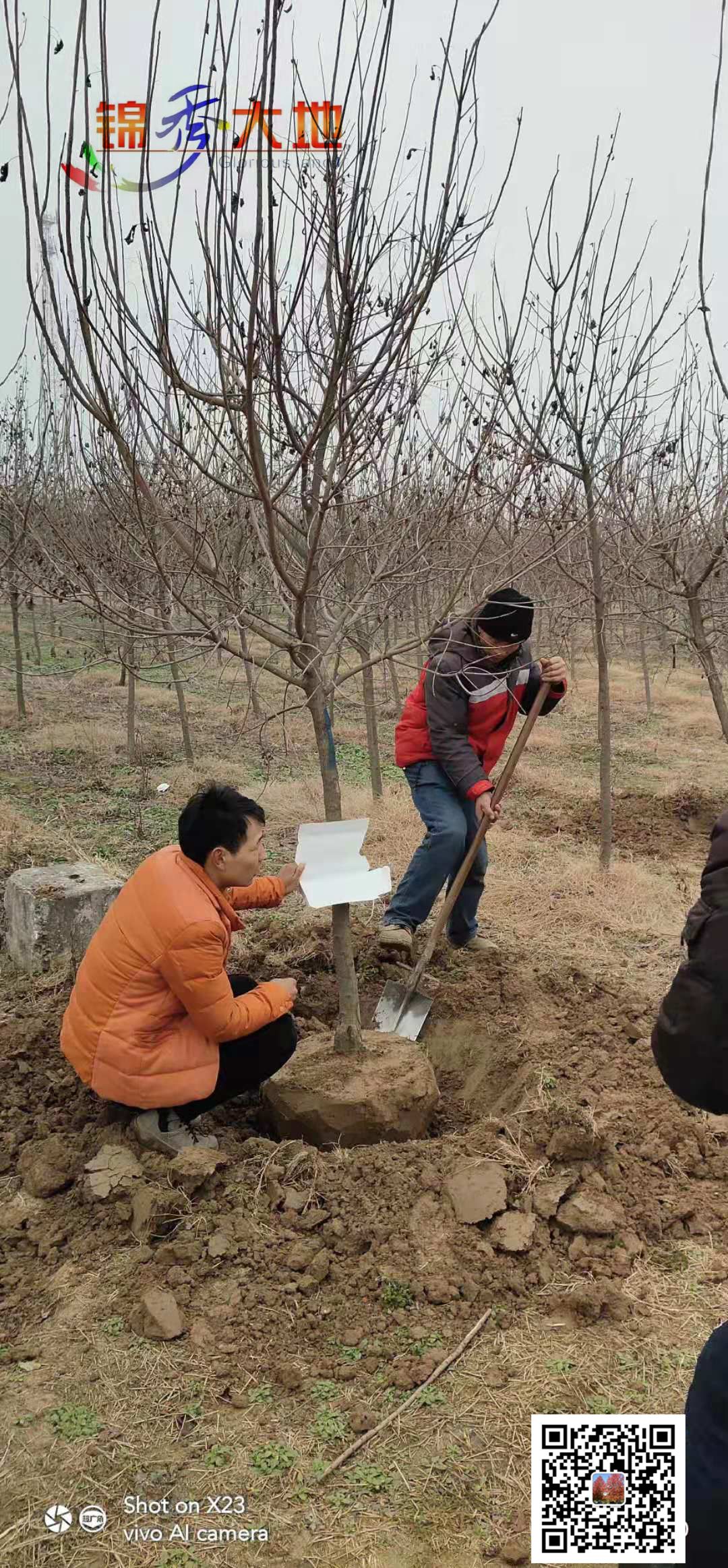 微信图片_202001140920354.jpg